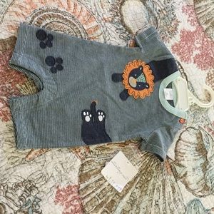 Starting out- shortall